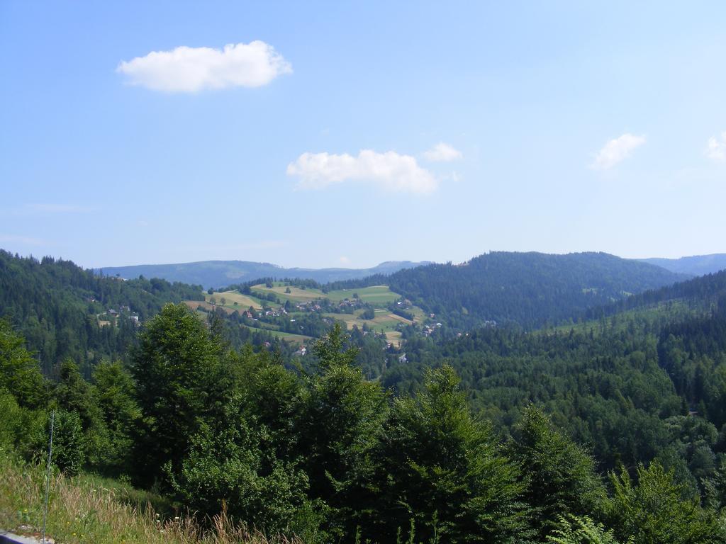 Hotel Rezydencja Prezydenta RP Zamek w Wiśle Wisła Zewnętrze zdjęcie